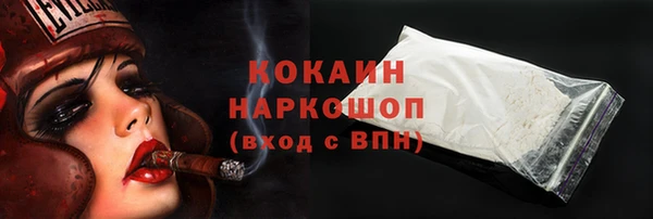 метадон Богданович