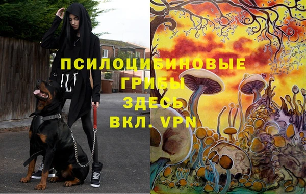 MDMA Premium VHQ Богородск