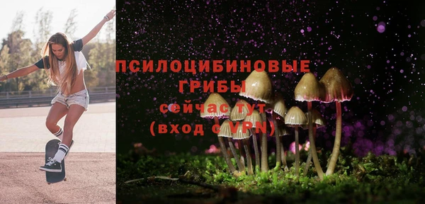 MDMA Premium VHQ Богородск