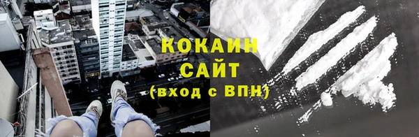 метадон Богданович